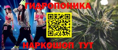 гидра Краснознаменск