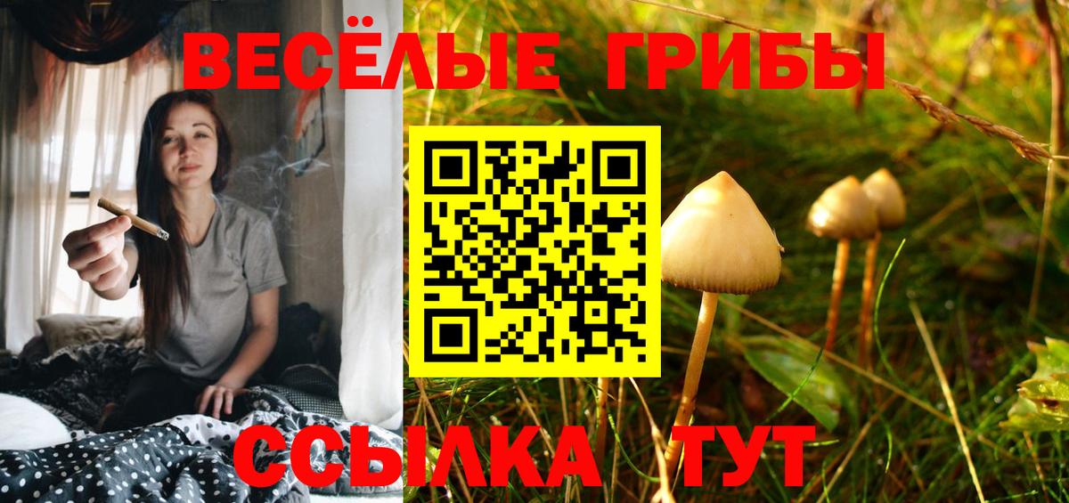 Псилоцибиновые грибы мухоморы  Вход с VPN  Лосино-Петровский 